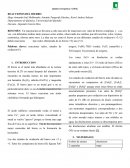 Reacciones del hierro