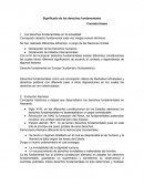 El significado de los derechos fundamentales
