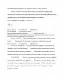 DECISIONES DE LA CADENA DE ABASTECIMIENTO ZARA- INDITEX
