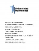 ¿Cuáles son la fuentes del poder? Explique cada una de ellas.