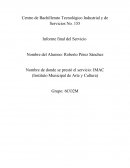 Servicio Social de Beturrias.