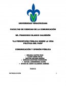 Ensayo de opinion publica.