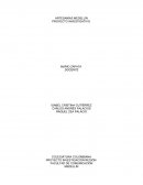 ARTESANÍAS MEDELLÍN