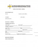 FORMATO DE PERFIL LABORAL