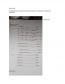 Las dificultades en el aprendizaje de las matemáticas. La discalculia escolar.