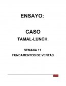 CASO TAMAL LUNCH.