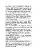 Que es el curriculum.