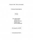 Planeta en peligro. Proyecto final: “Ahorro de energía”