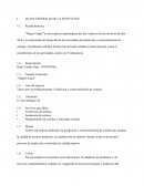 Tesina miguel angel.