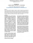 Analisis flujo vehicular.