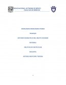 Estudio dogmatico del delito de robo
