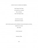 ESTRUCTURA DE UN MODELO DE EMPRESA