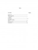 Investigación sobre libros contables