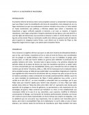Filipo II y la ascensión de Macedonia