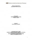 Trabajo comunitario II