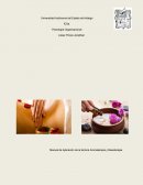 Ejemplo de manual de aromaterapia.