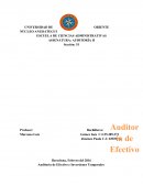 Auditoria de efectivo e inversiones temporales