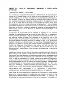 Eritrocitos, anemia y policitemia