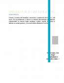 PROBLEMAS RESUELTOS SIDERURGIA II