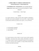 LABORATORIO N°4: PERFILES TOPOGRAFICOS LONGITUDINALES Y TRANSVERSALES