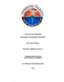 BIOLOGIA GENERAL. ACTIVIDAD DE PROFUNDIZACION