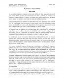 El principio de responsabilidad