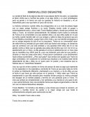 RESEÑA MARAVILLOSO DESASTRE