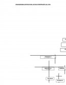 Organigrama estructural