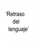 Retraso del lenguaje.