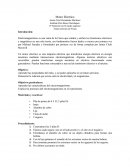 Temas selectos de Física Motor electrico.