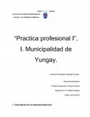 “Practica profesional I”, I. Municipalidad de Yungay.