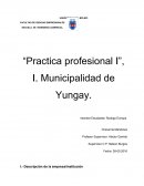 Practica profesional I, I. Municipalidad de Yungay