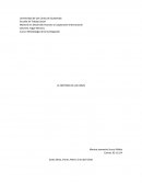 ANALISIS LA HISTORIA DE LAS COSAS