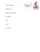 ENSAYO SOBRE SUICIDIO.