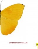 Procesos psicológicos.