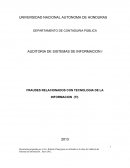 Fraudes o DElitos de Sistemas de Informacion