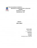 ENSAYO “BIEN COMUN”