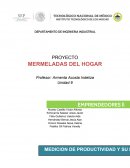 Medicion de productividad.