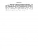 Rectificador de onda completa y onda media