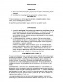 Observacion Vacterias.