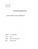 ¿Cómo cuidar las aguas del planeta?