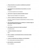 ¿Porque elementos se encuentran constituidas las proteínas?