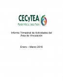 FORMATO DE INFORME TRIMESTAL
