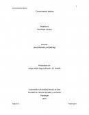 Sondeo de Conocimientos básicos angie segura