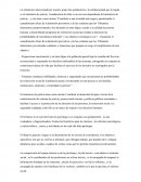Informe sobre institutcion penal.