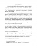 Toma de decisiones. Schein