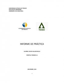 INFORME DE PRÁCTICA FORESTAL TROMEN S.A. Página 1