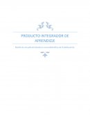 PIA Orientación.