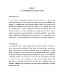 ENSAYO “LA ESTRATEGIA DEL OCEANO AZUL”