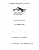 METODOLOGÍA DE LA INVESTIGACIÓN - DELINCUENCIA JUVENIL